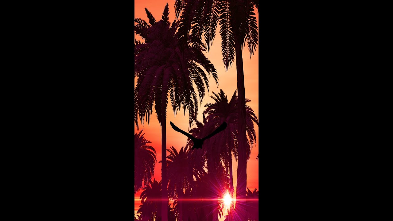 Palm Tree Sunset #Shorts