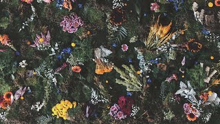 Winterbourne - Take The Golden (Official Audio)