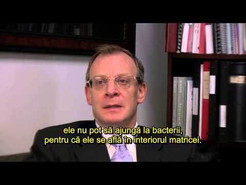 Dr Garth Ehrlich - Douăzeci de Ani de Cercetare în Biofilm