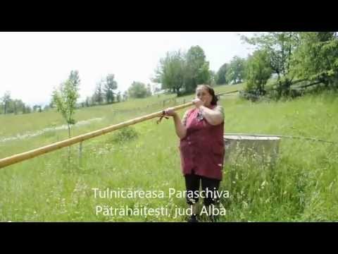 Prin Transilvania - Tulnicăreasa Paraschiva
