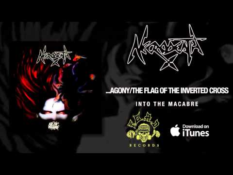 ...Agony / The Flag Of The Inverted Cross cover