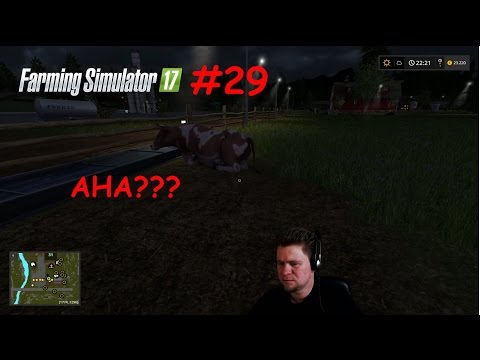 LS 17 [E29] Die faulsten Kühe!!!