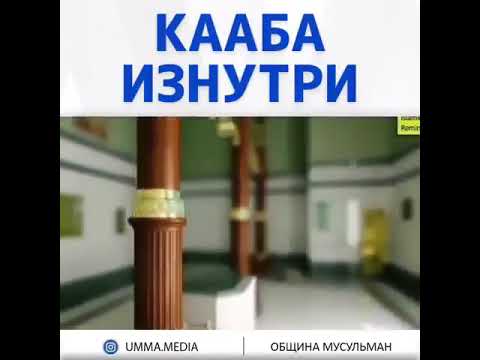 Это мир прекрасно(20)