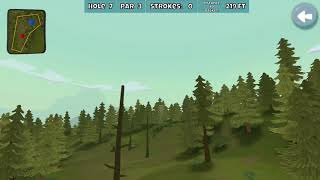 Disc Golf Valley Ace