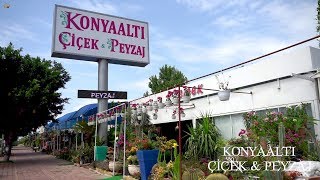 Konyaaltı Çiçek Peyzaj ²⁰¹⁹ | Antalya Çiçek Siparişi Online
