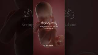 Download lagu Surah Al Baqarah Ayat 28 mp3 Download lagu Surah Al Baqarah Ayat 28 mp3