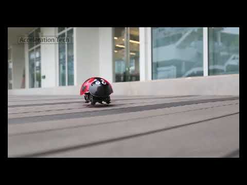 Nyhet radistyrd nyckelpiga