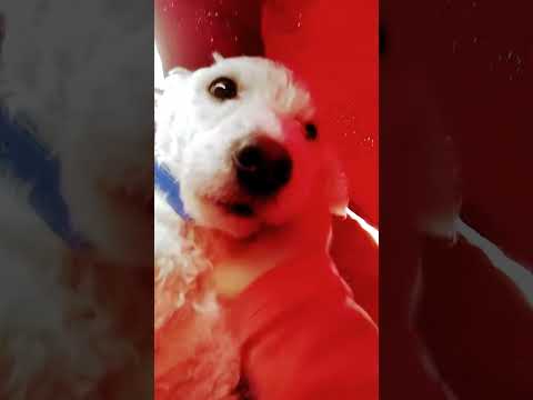 16 de septiembre de 2023