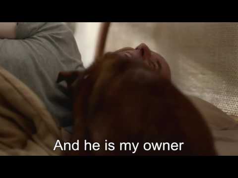 Watch this video || you will cry 100%