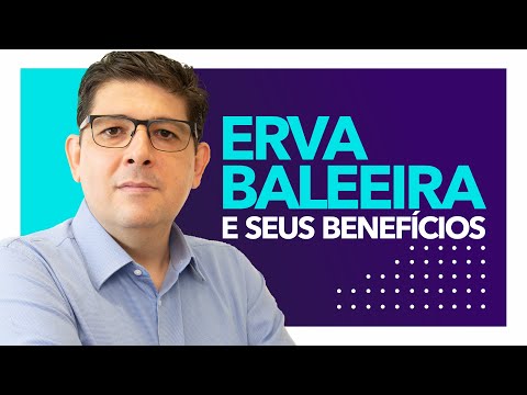 Vídeo: Erva-baleeira: para que serve e dúvidas comuns