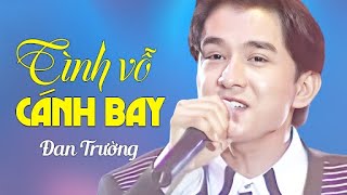 Video hợp âm Mưa Tuyệt Vọng Nguyễn Phi Hùng