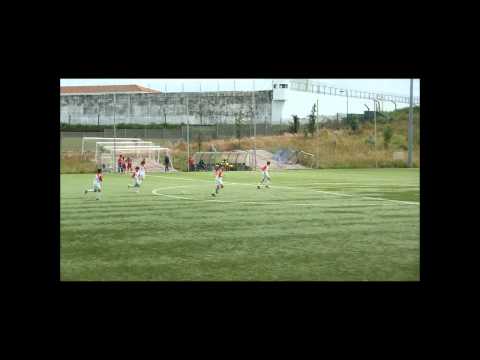 Salgueiros 3   Aves 2 resumo 3