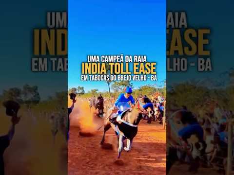 Grande Desafio em Tabocas do Brejo Velho - BA.