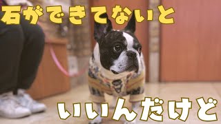 再々検査の結果どうだった？