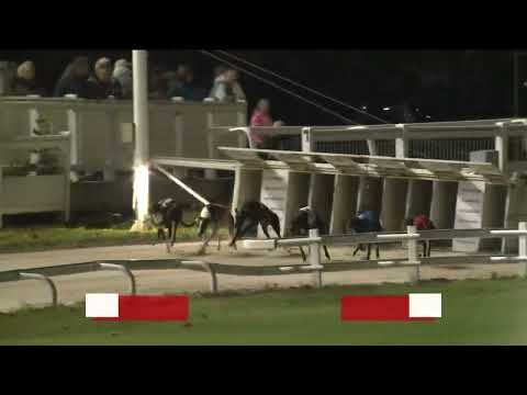 2023.10.27. 8. Futam - Őszi Kölyök Derby Döntő