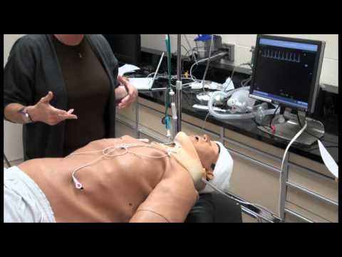 Basic Trauma Workshop: Simulation 