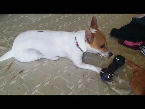 Bhudda doing left an right DANCE