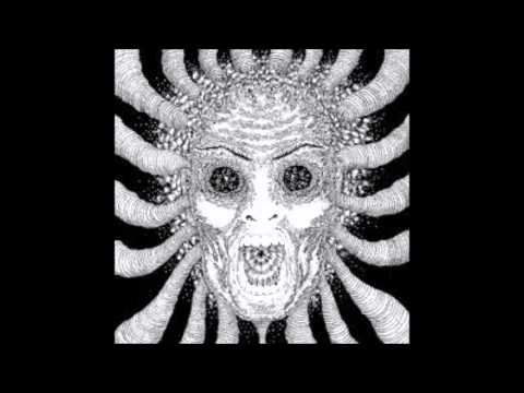 THCTEK - Distorted Frequencies