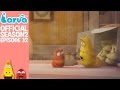 Official Fortune Cookie Larva Season 2 Episode 32