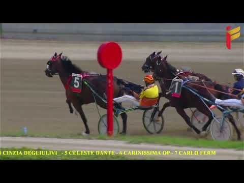 II corsa del 12 ottobre 2022 - 4 Anni - Metri 1600