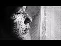 Klaus Schulze   Stardancer