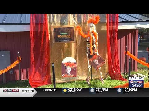 NEW Zoo’s ‘Zoo Boo’ returns to celebrate Halloween all month long