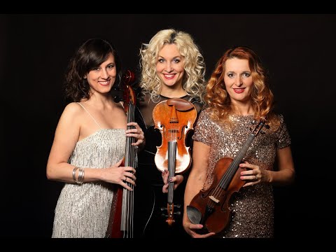 trio INFLAGRANTI Praha Obecní dům 2025 Právnický ples SAMBA