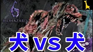 【バイオハザード6】字幕実況 エージェントハント#30 ゾンビ犬 レオン ヘレナ PS4