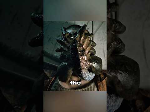 The consequence of being parasitized by a facehugger