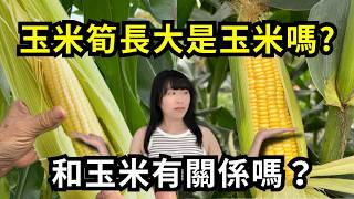 Re: [問卦] 玉米筍滿難吃的吧