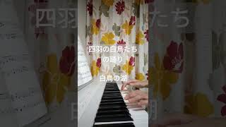 Download lagu 【四羽の白鳥たちの踊り】【白鳥の湖】【ピアノ初心者】【独学】#shorts mp3