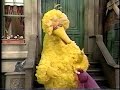 Sesame Street The Honker Help Game