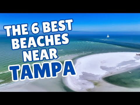 The 6 Best Beaches Near Tampa (And Why Locals Love Them)