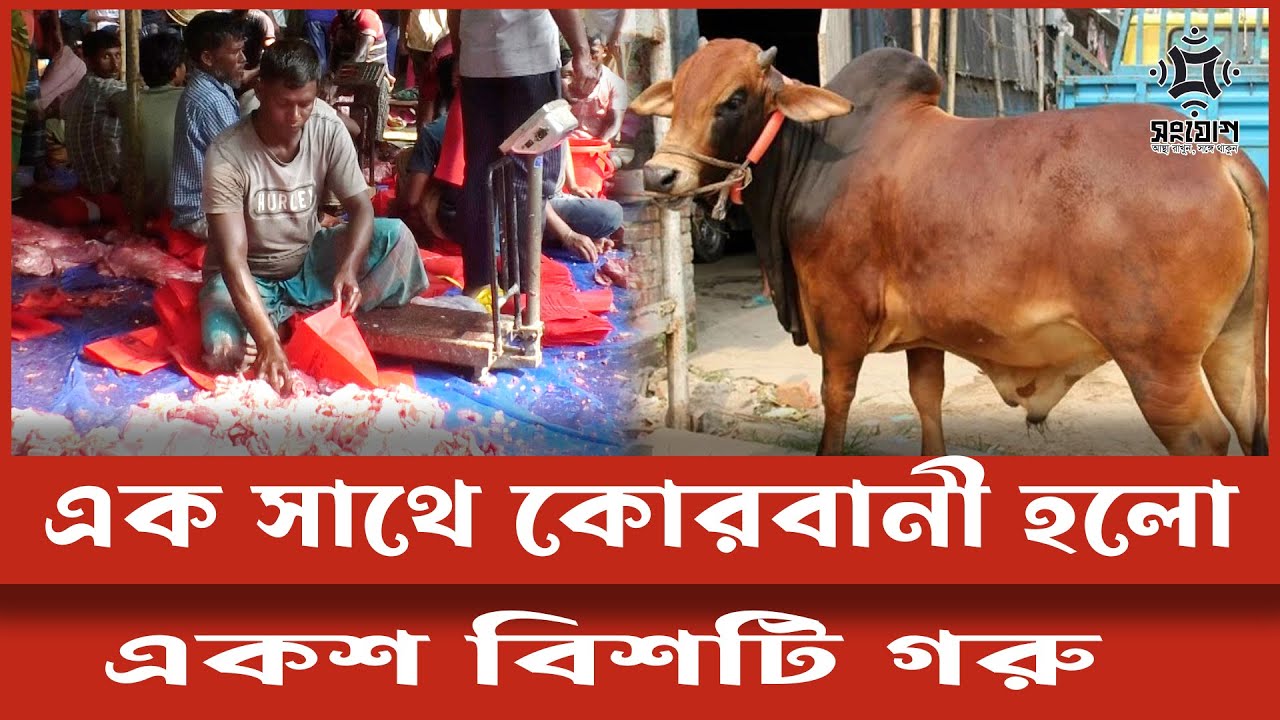 দু:স্থ্যদের মধ্যে বিতরণ হলো একশ বিশ গরুর মাংস