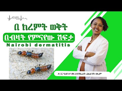 በ ክረምት ወቅት በብዛት የምናየው ሽፍታ/ Nairobi fly dermatitis