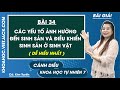 Khoa học tự nhiên 7 Cánh diều Bài 34: Các yếu tố ảnh hưởng đến điều khiển sinh sản - Trang 156, 160