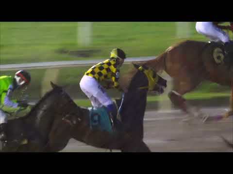 220206 c09 - RESISTANCE DAY - HIPODROMO MAROÑAS