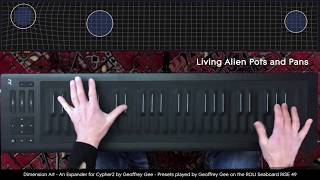 Video thumbnail for Cypher2 Expander: Dimension Art presets played by Geoffrey Gee by FXpansion