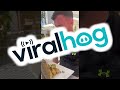 Hungover Irishman Didn T Expect Full Fish ViralHog
