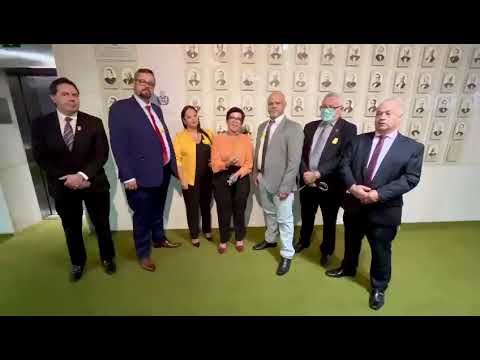 Deputada Alê Silva afirma que PL 9609/2018 é uma pauta que só tem a engrandecer a sociedade