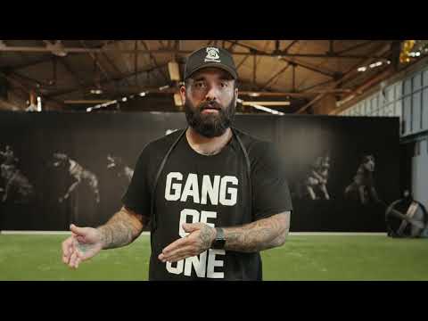 BEFORE YOU GET A BELGIAN MALINOIS - WATCH THIS