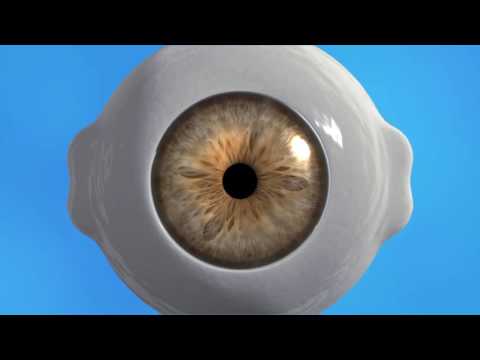What Happens When The Eyes Are Dilated?