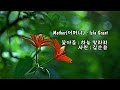 Mother(어머니)/Isla Grant & 사진 : 김순용