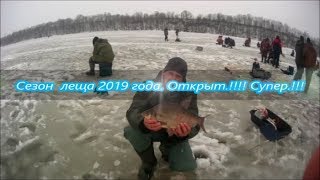 Рыбалка на цимлянском водохранилище 2019 форум