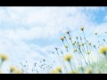You First Believed by Hoku 