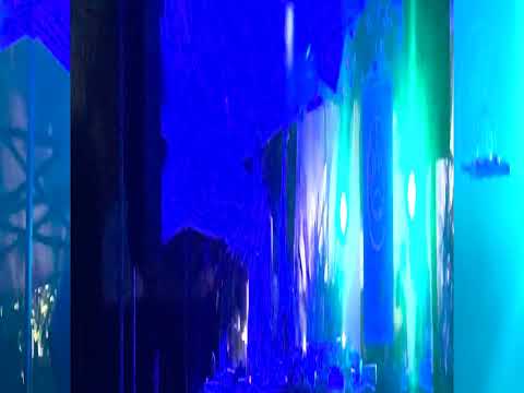 IOKOI Live at Wunderkammer Culto Torino 2022