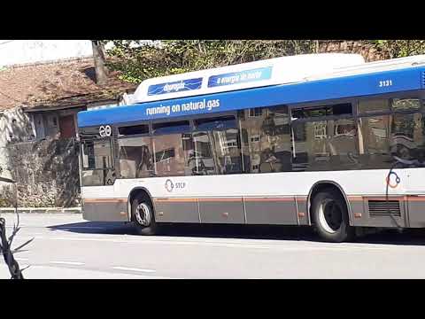 STCP linha 805 veiculo 3131