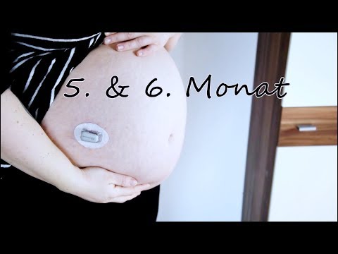 Blutzucker vor und nach den Mahlzeiten für Diabetiker Shop für Diabetiker sao