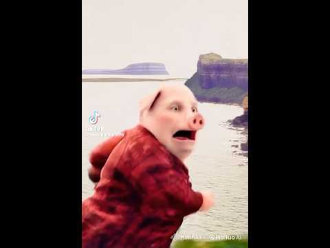 John pork gets rizzed by the cops