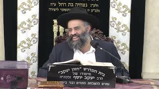 הרב דוד טהרני  •  כשרות הבשר (בית הכנסת מוסאיוף) - התמונה מוצגת ישירות מתוך אתר האינטרנט יוטיוב. זכויות היוצרים בתמונה שייכות ליוצרה. קישור קרדיט למקור התוכן נמצא בתוך דף הסרטון